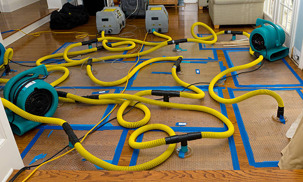 Professional Crawl Space Water Removal technician working in Colchester, IL